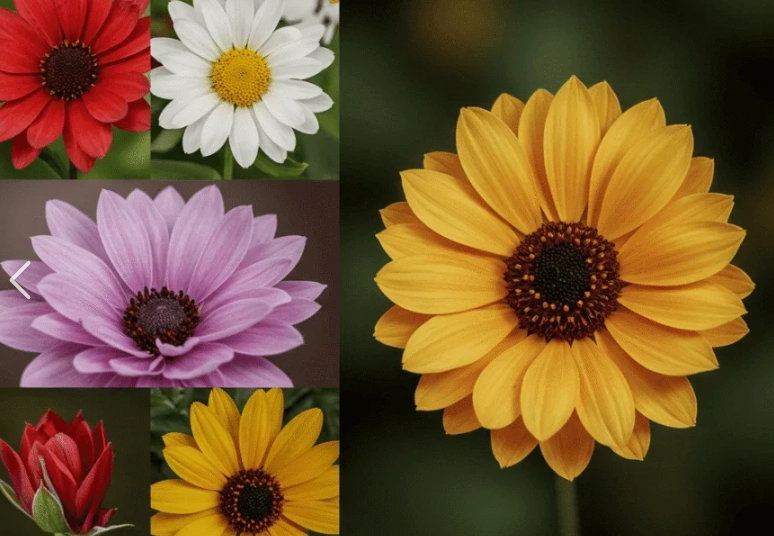 告別花語 告別花語