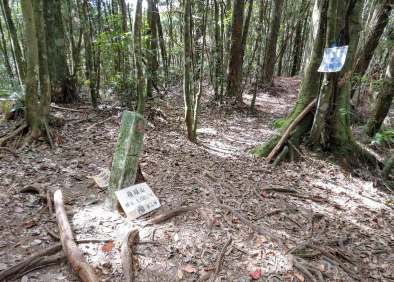 留龍頭登山 留龍頭登山