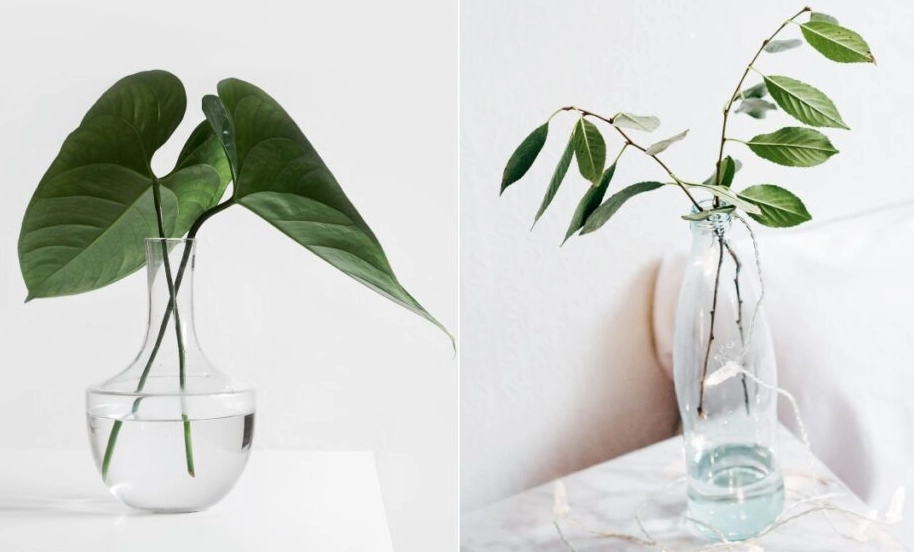 鮮花保養水位 鮮花保養水位