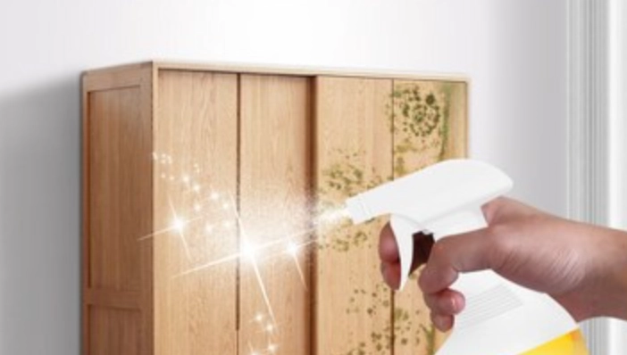 木製家具發霉處理