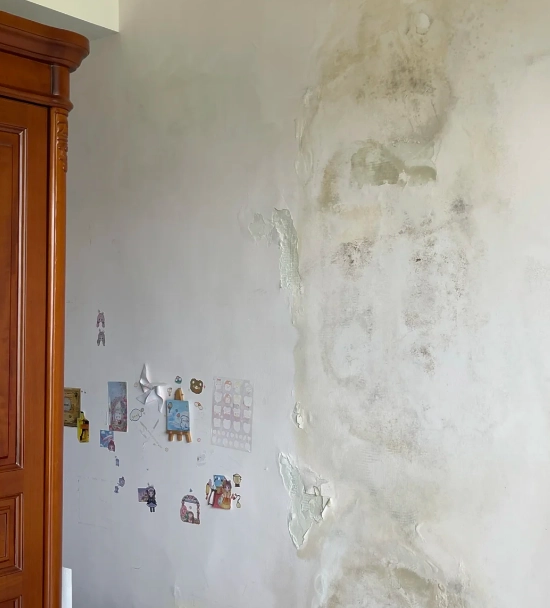 泥發霉處理 泥發霉處理