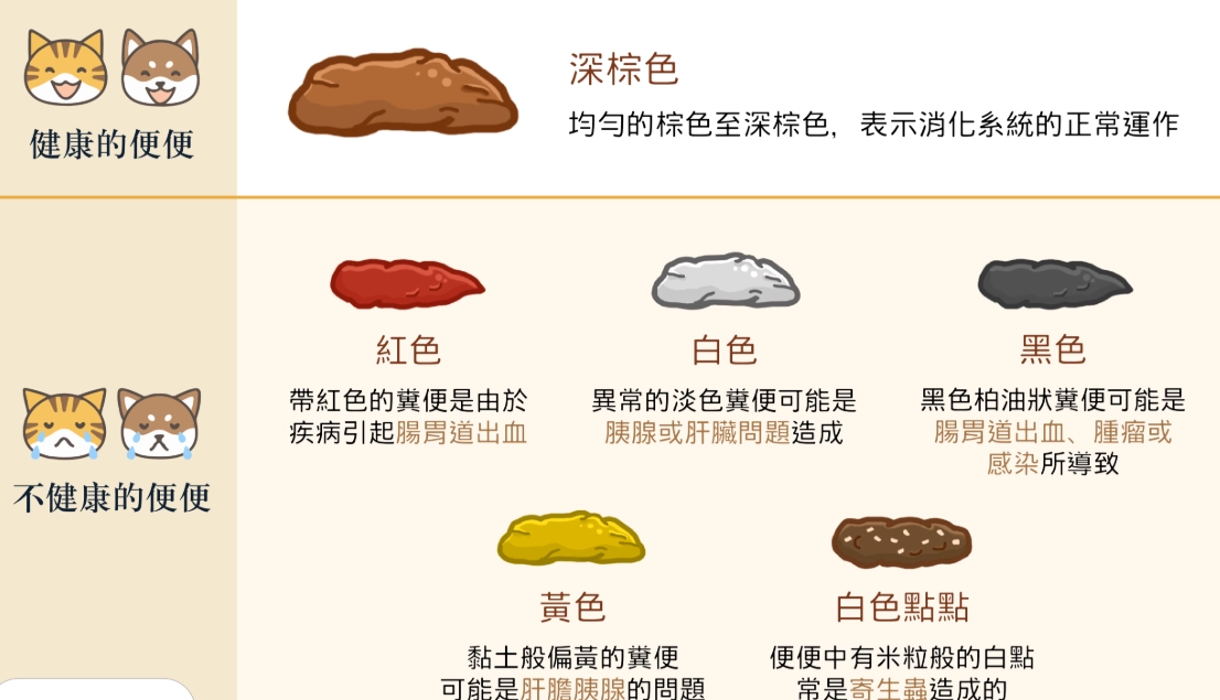 貓大便異常 貓大便異常