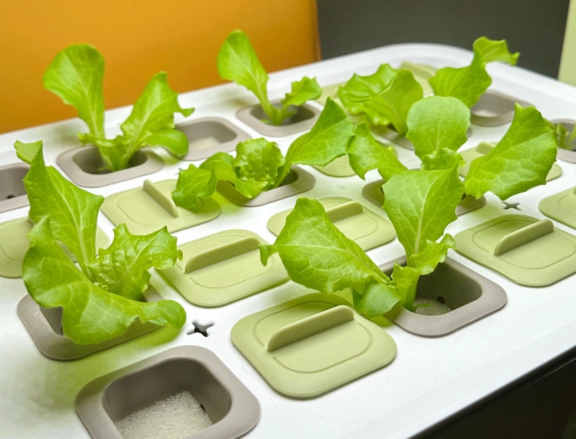 DIY水耕系統 DIY水耕系統