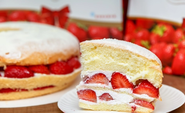 佳樂蛋糕購買指南