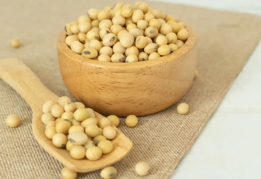 豆类对关节炎的影响