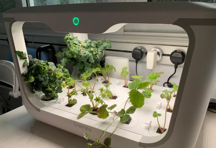 DIY水耕系統 DIY水耕系統