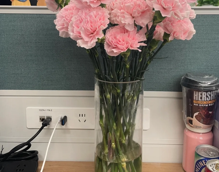 花瓶水位指南 花瓶水位指南