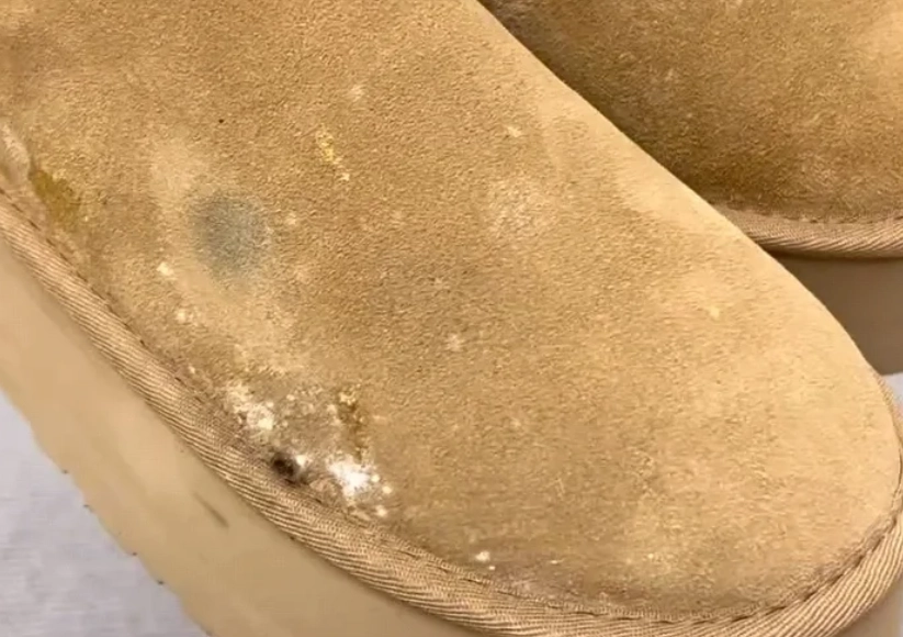 布料發霉清潔方法 布料發霉清潔方法