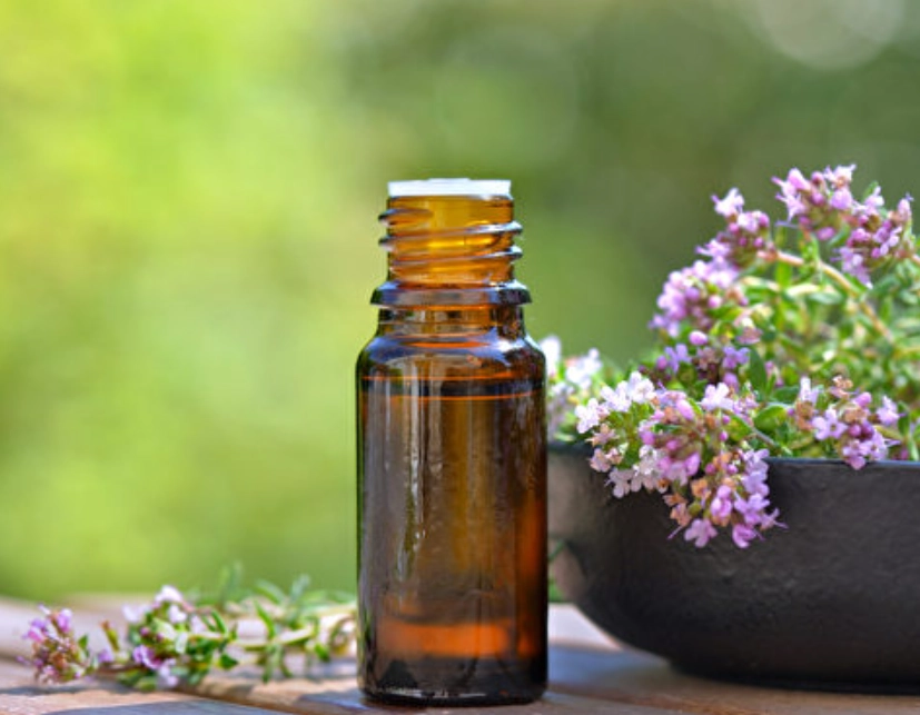 茶樹精油 寵物安全 茶樹精油 寵物安全