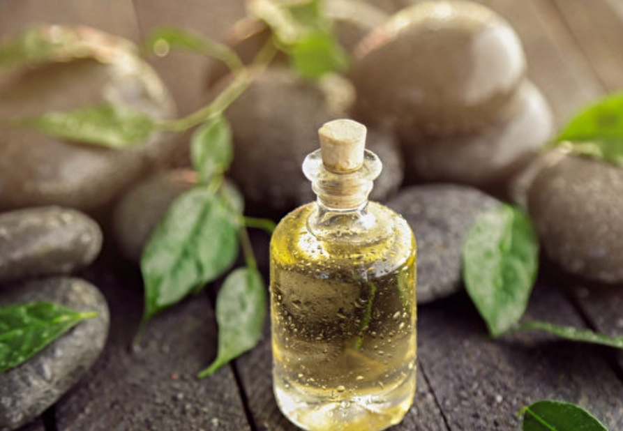 茶樹精油 寵物安全 茶樹精油 寵物安全