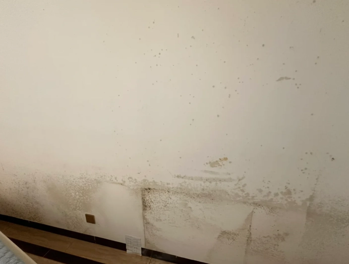 泥發霉處理 泥發霉處理