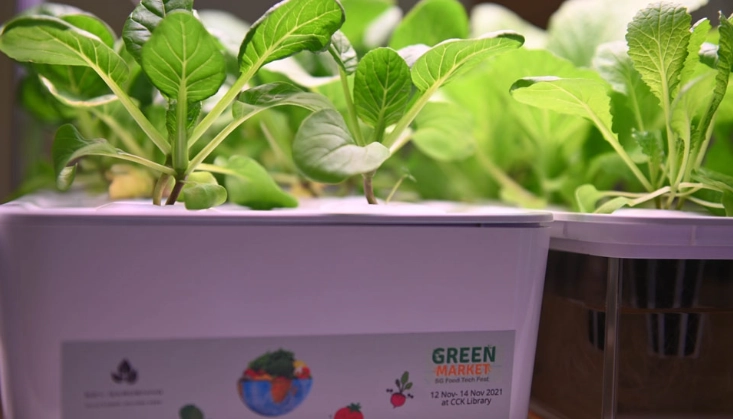 水耕栽培入門 水耕栽培入門