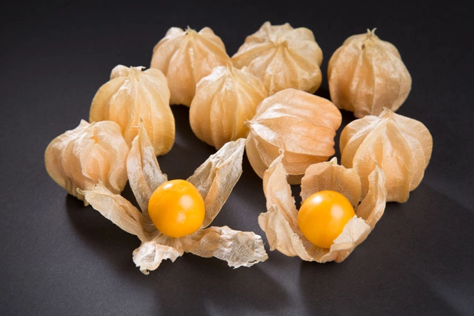 燈籠果過敏預防