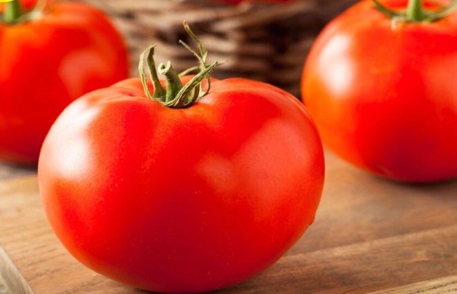 台灣番茄品種 台灣番茄品種