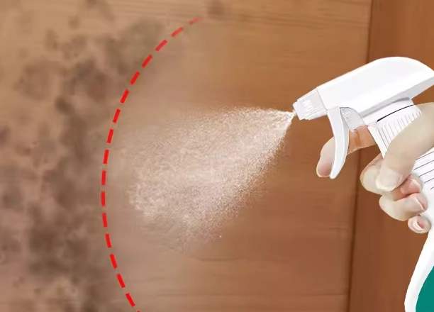 木製家具發霉處理