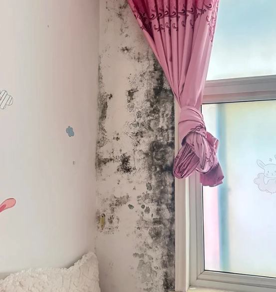 居家防霉方法 居家防霉方法