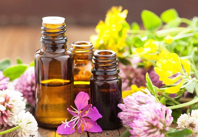 茶樹精油 貓咪 有害 茶樹精油 貓咪 有害