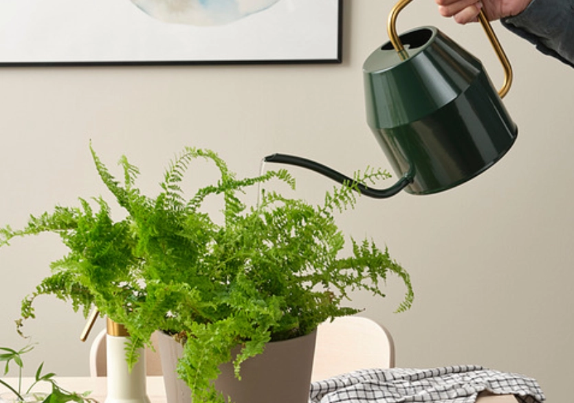 澆水方法 澆水方法