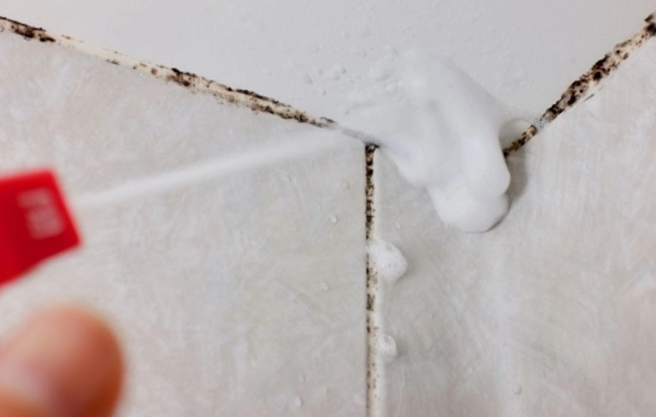 居家除霉技巧