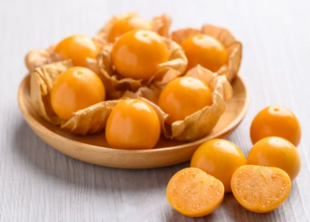 燈籠果生命週期 燈籠果生命週期