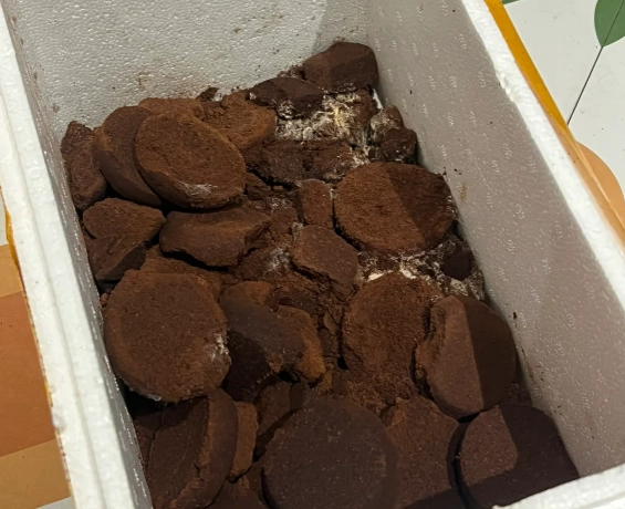 有機肥料發霉處理