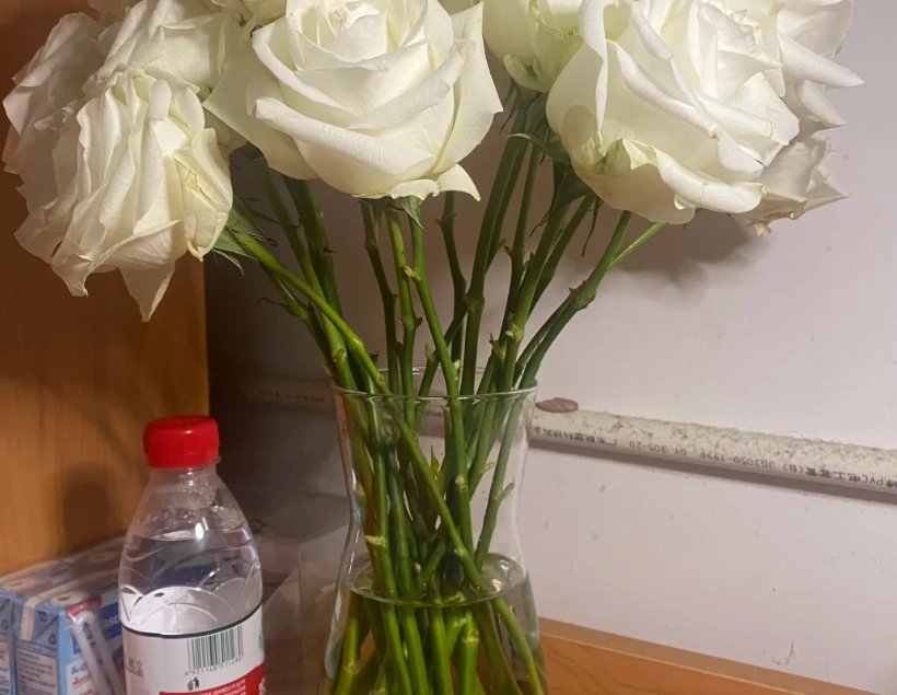 鮮花保養水位 鮮花保養水位