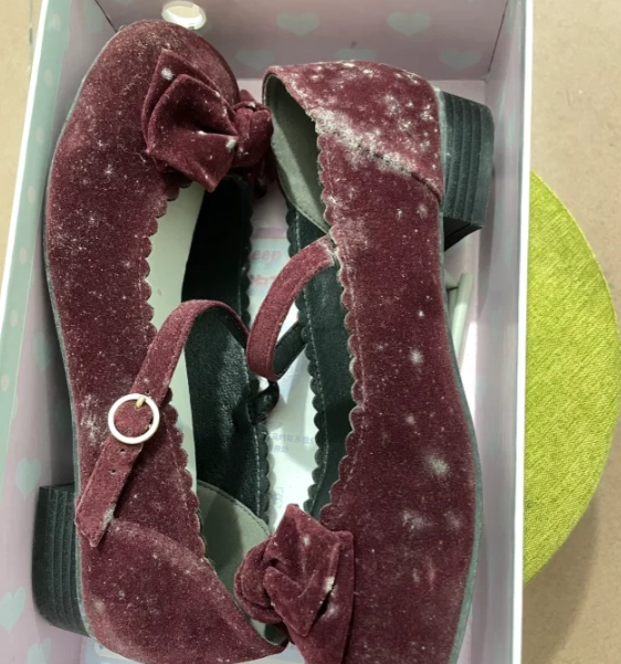 絨布霉斑處理 絨布霉斑處理