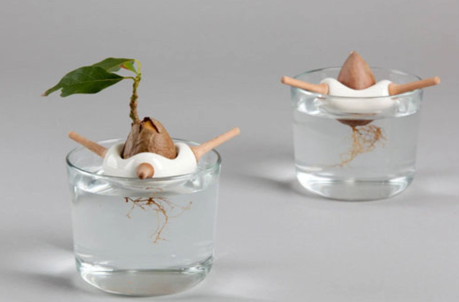 水耕轉土耕方法 水耕轉土耕方法