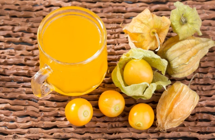 燈籠果種植技巧 燈籠果種植技巧