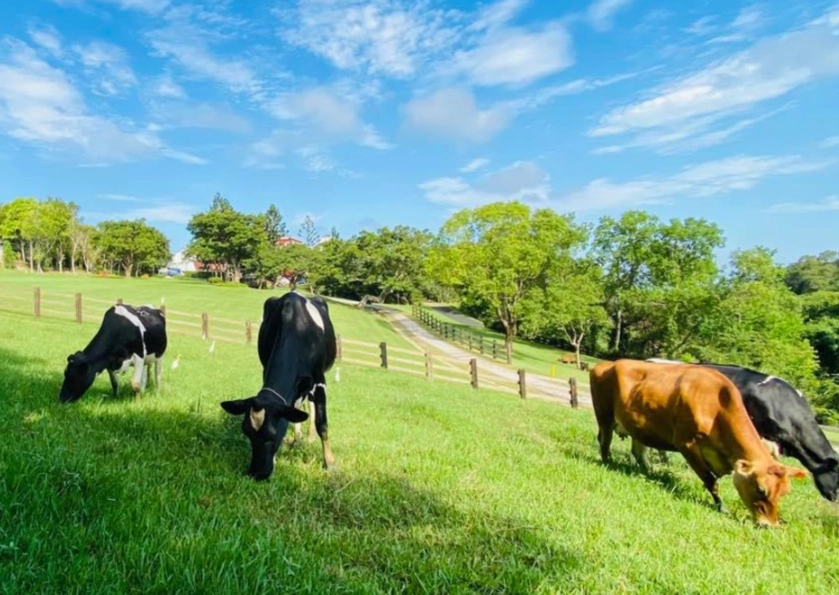 苗栗高評分景點 苗栗高評分景點