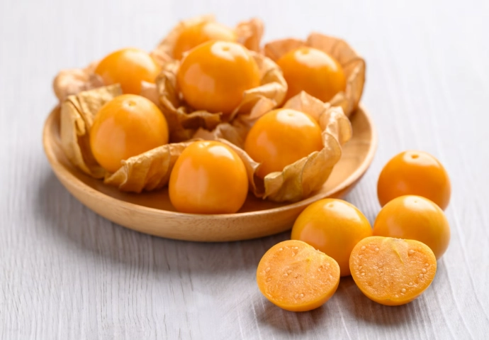 燈籠果過敏治療