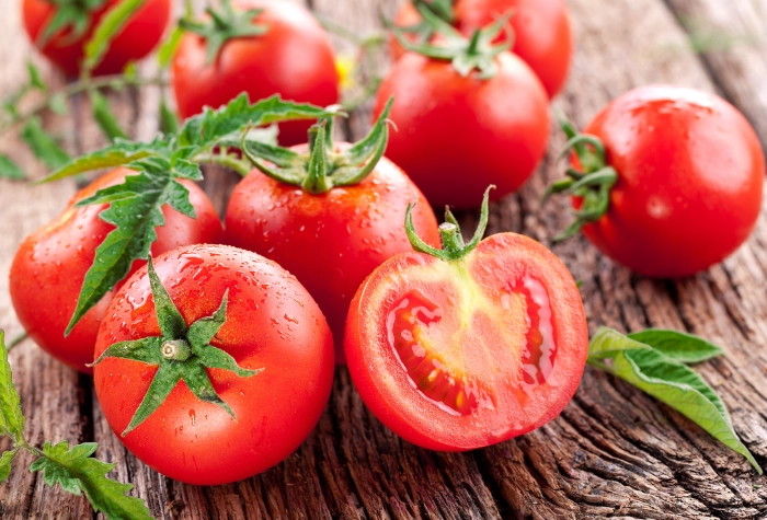 鐵娘番茄 特性 鐵娘番茄 特性