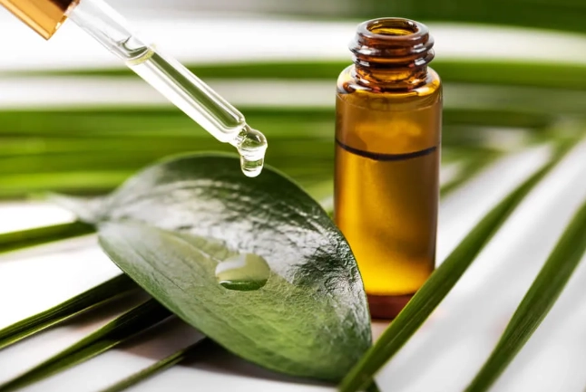 茶樹精油 貓咪 有害 茶樹精油 貓咪 有害