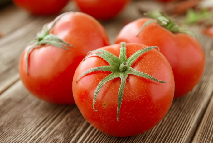 鐵娘番茄 種植 鐵娘番茄 種植