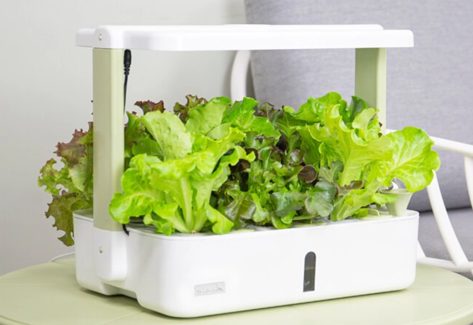 水耕栽培入門 水耕栽培入門