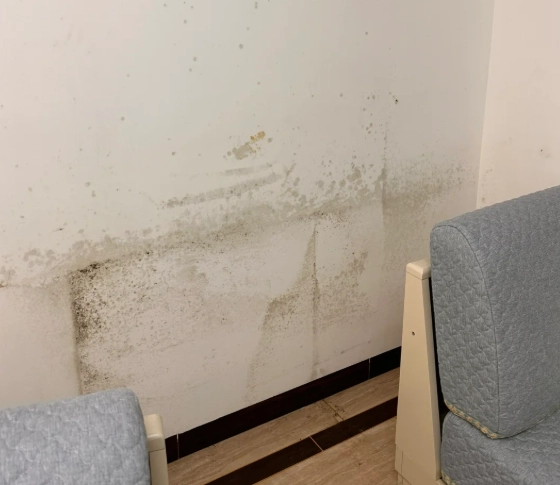 居家防霉方法 居家防霉方法