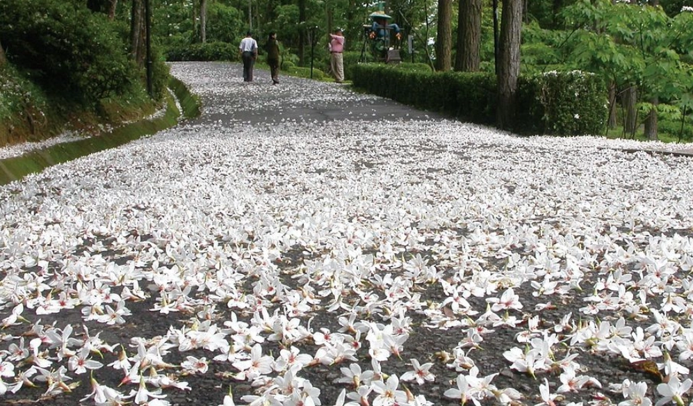 苗栗旅遊景點推薦 苗栗旅遊景點推薦