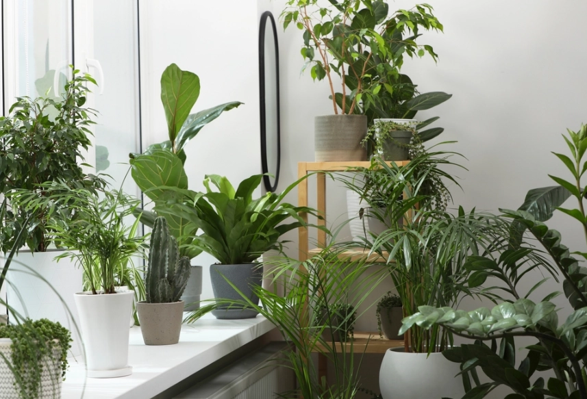 花盆材質比較 花盆材質比較