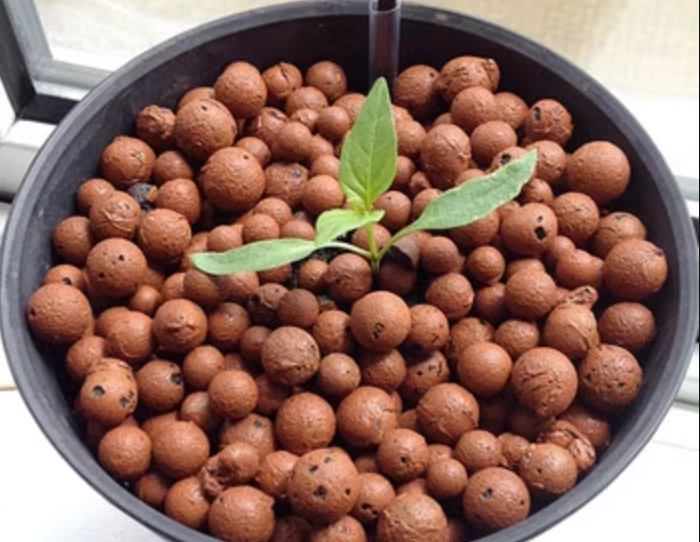 發泡煉石陶粒用途