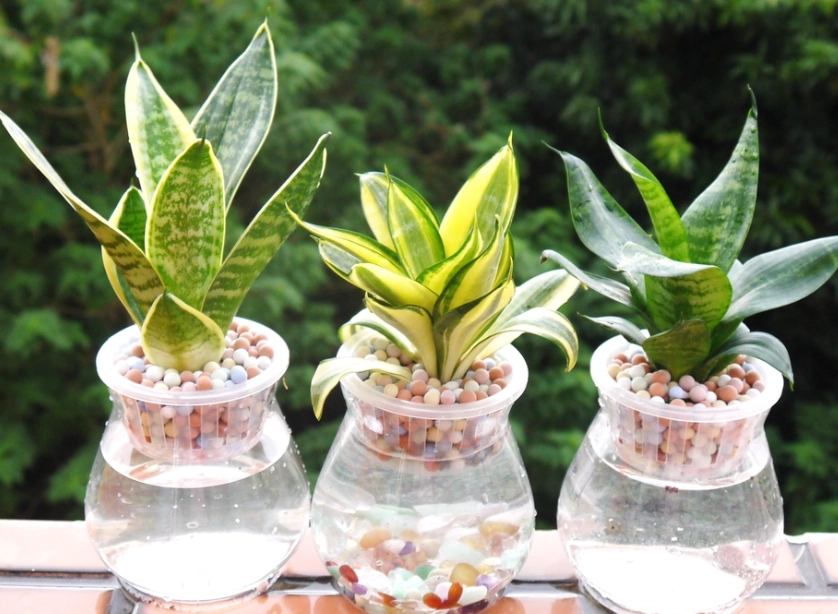 發泡煉石優點 發泡煉石優點