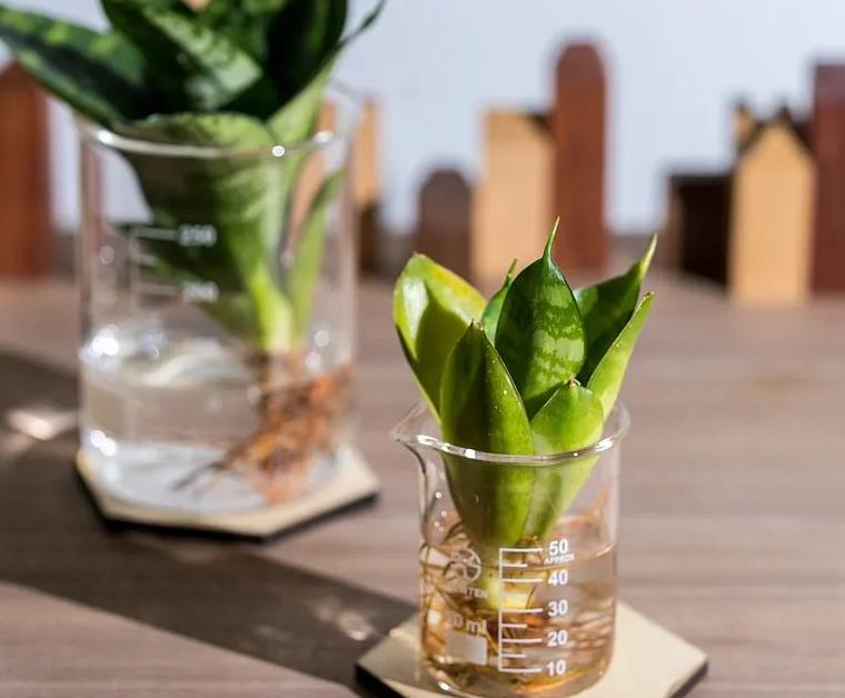 水耕容器推薦 水耕容器推薦