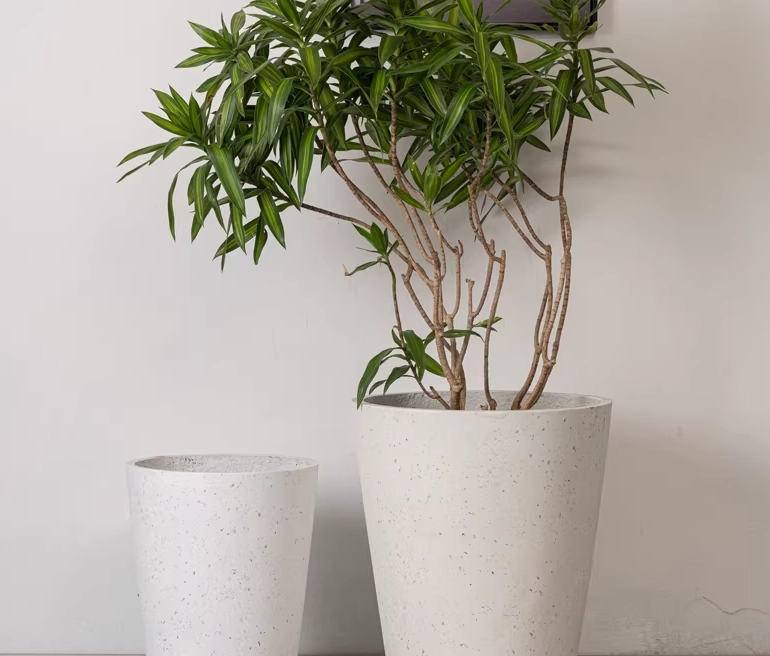 高花盆植物推薦 高花盆植物推薦