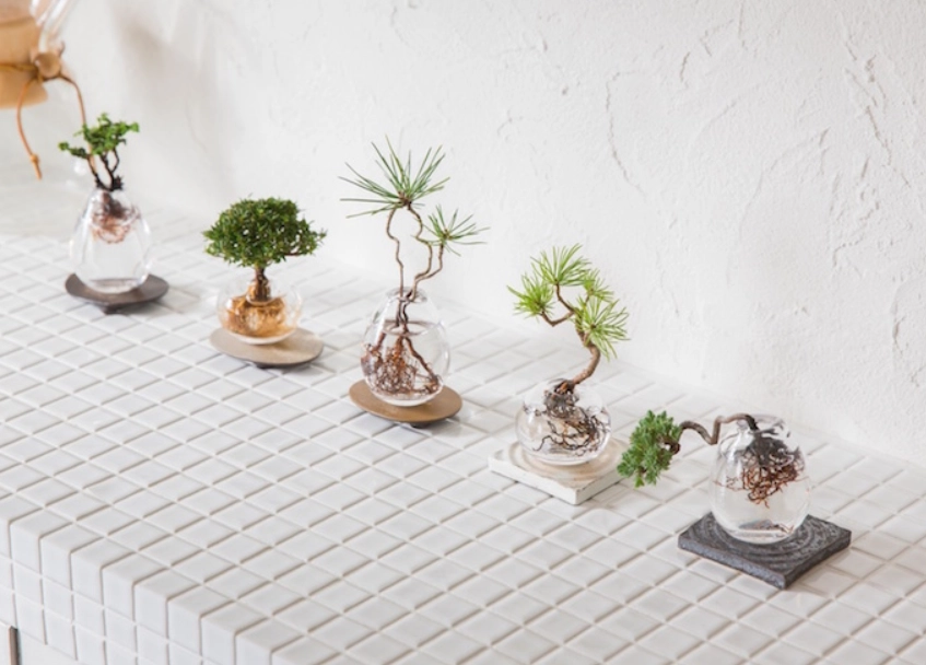 水耕容器DIY 水耕容器DIY