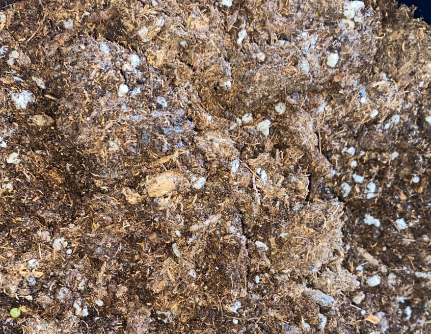 土發霉處理 土發霉處理