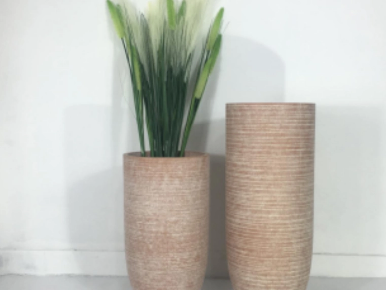 高花盆植物推薦 高花盆植物推薦