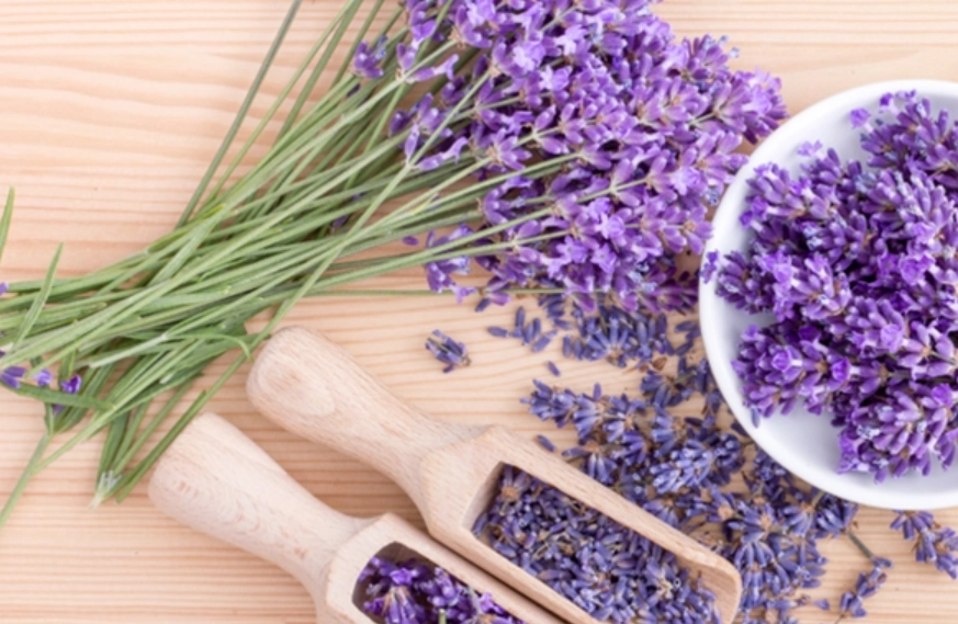 花語療癒 花語療癒