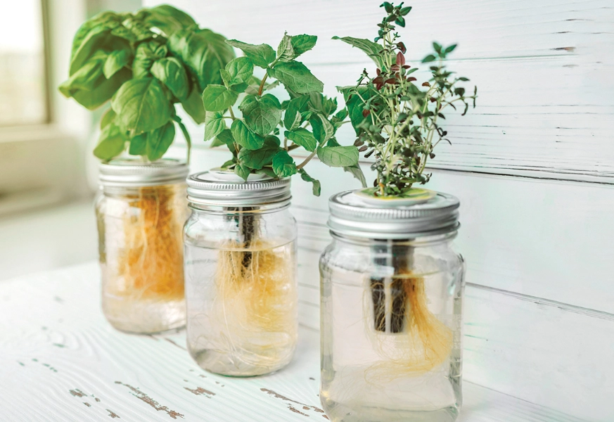 水耕容器DIY 水耕容器DIY