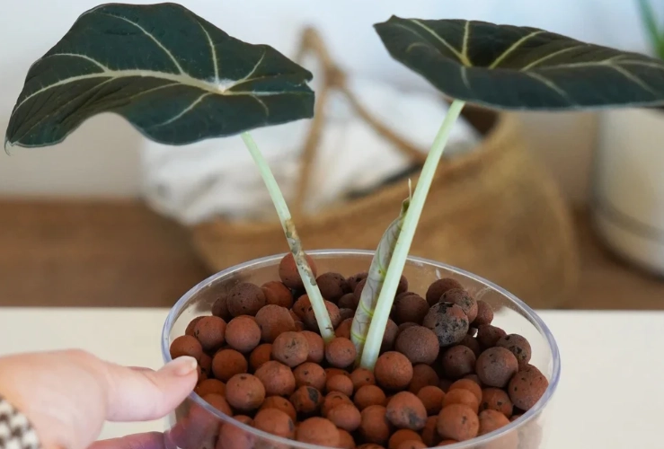 發泡煉石陶粒用途