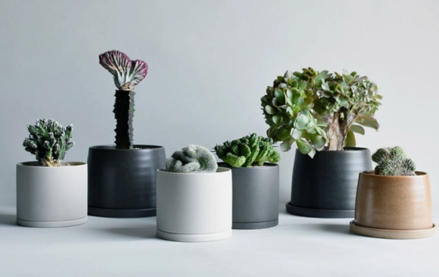 花盆材质比较 花盆材质比较