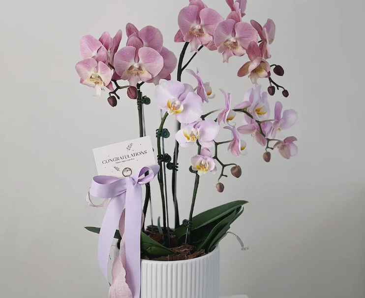 開幕送花禮儀 開幕送花禮儀